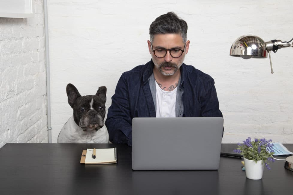 Hund und Vollzeitjob: So klappt es | careeasy - Dein Karrieremagazin